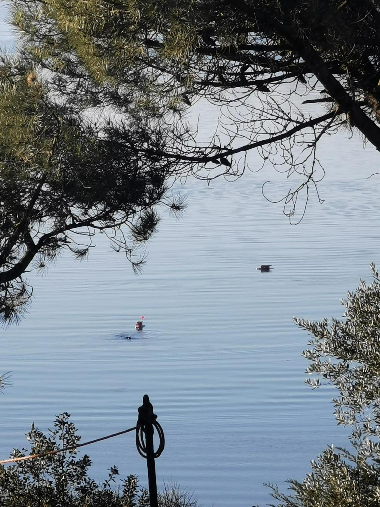Les Pieds Dans L'Eau Saint-Malo Exterior foto
